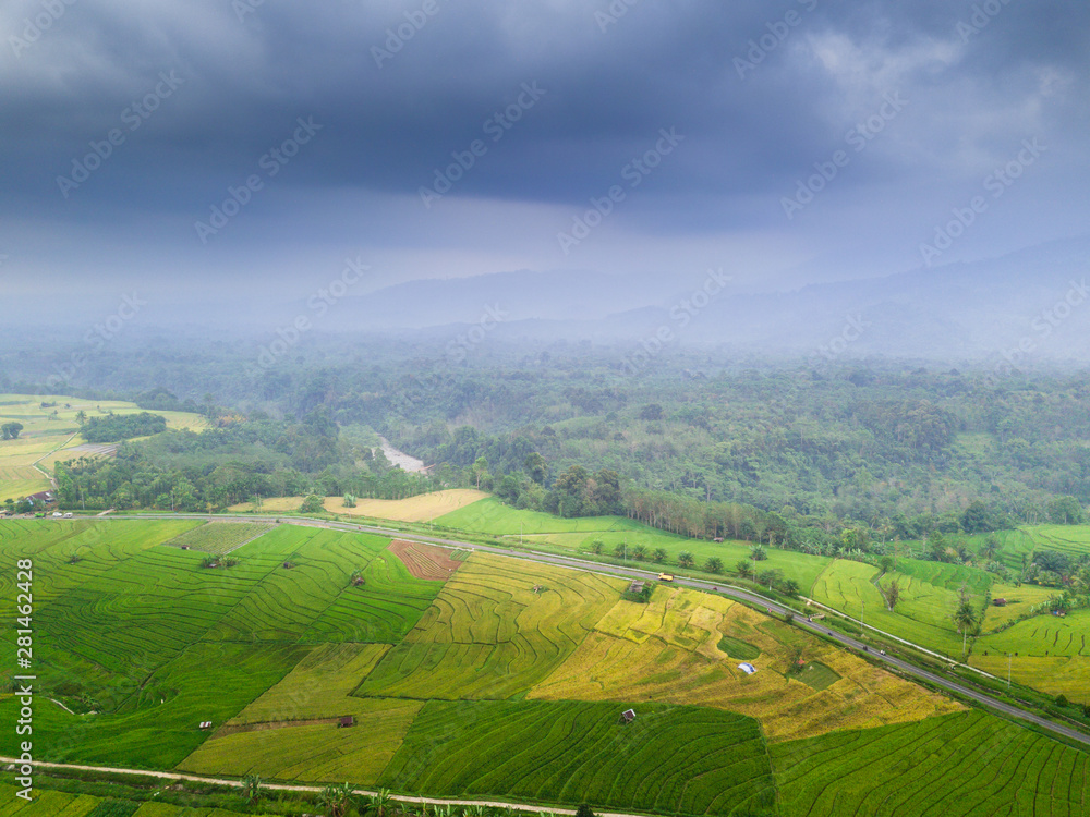 beauty nature forest at paddy fields with cloudy
