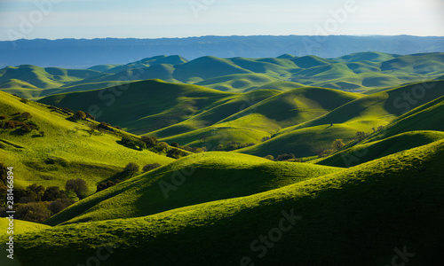 Bild auf Leinwand Rolling Green Hills in Northern California