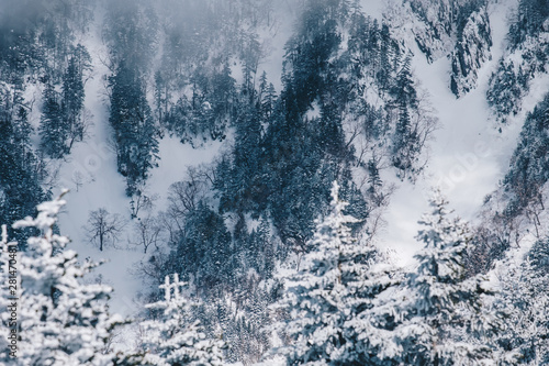 Snow covered pine trees on the background of mountain peaks. Panoramic view of the snowy winter landscape at Shinhotara Ropeway, Japan. Magnificent and silent sunny day.