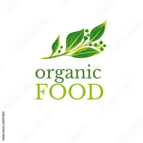 ector logo design template in trendy linear style - eat healthy - vegetarian or food badge or emblem for food wrapping