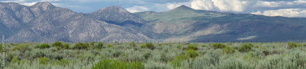 Panoramic view of Green wild land with sagebrush plant and mountain in the background during clouded summer day next the Lake Crowley, Eastern Sierra, Mono County, California, USA. 