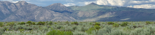 Foto Panoramic view of Green wild land with sagebrush plant and mountain in the background during clouded summer day next the Lake Crowley, Eastern Sierra, Mono County, California, USA