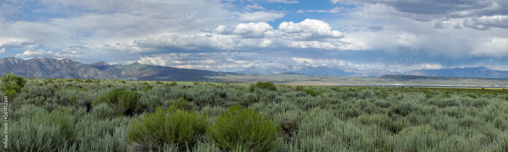 Panoramic view of Green wild land with sagebrush plant and mountain in the background during clouded summer day next the Lake Crowley, Eastern Sierra, Mono County, California, USA. 