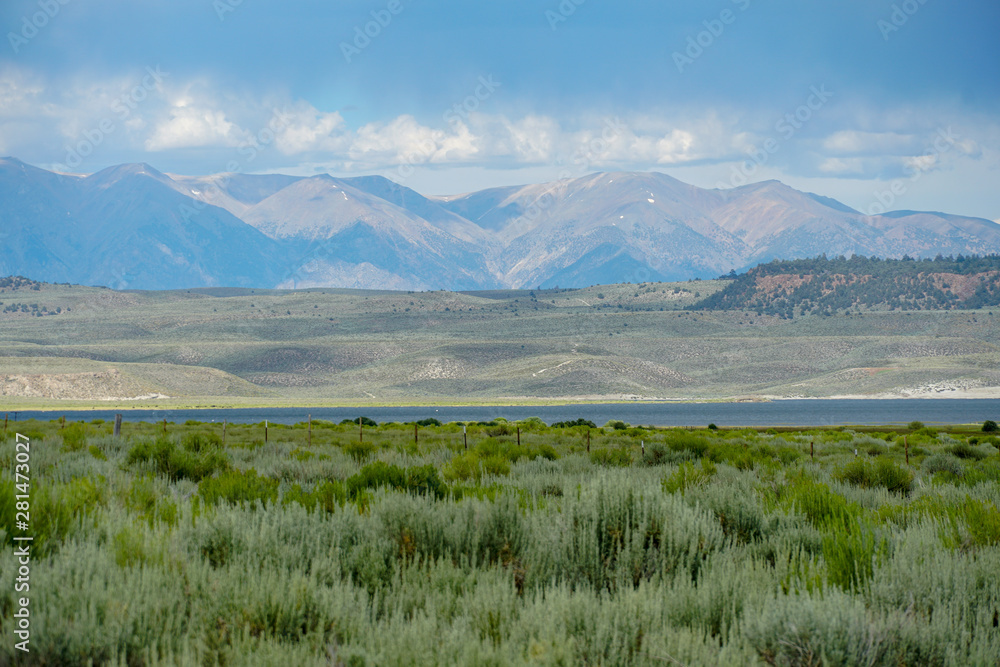 Fototapeta premium Panoramic view of Green wild land with sagebrush plant and mountain in the background during clouded summer day next the Lake Crowley, Eastern Sierra, Mono County, California, USA. 