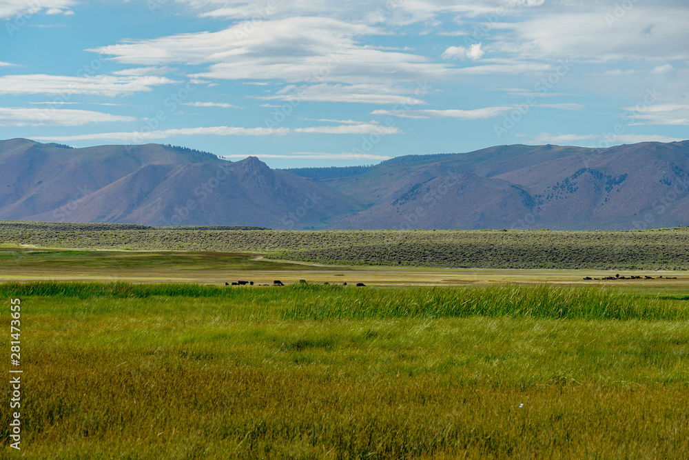 Long valley next to Lake Crowley, Mono County, California. USA. Green wetland with mountain on the background during clouded summer. Long valley next to Lake Crowley, Mono County, California. USA. Green wetland with mountain on the background during clouded summer.