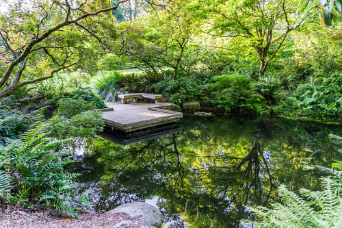 Seattle Arboretum Pond Reflection 3