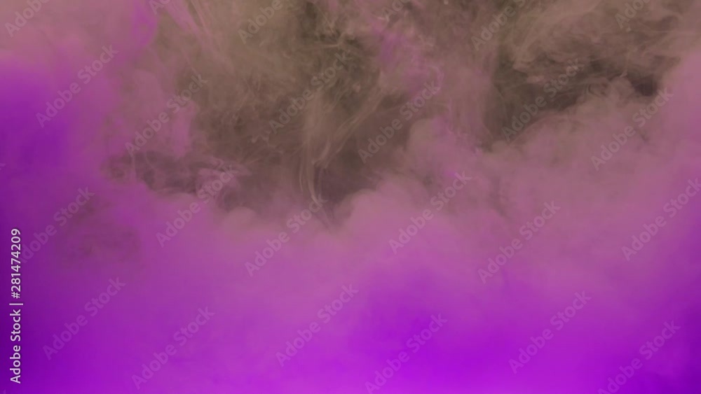 Colorful violet ink mixing in water, swirling softly underwater with copy space. Colored acrylic cloud of paint isolated. Abstract smoke explosion animation. Universe, space. Art background. Timelapse Colorful violet ink mixing in water, swirling softly underwater with copy space. Colored acrylic cloud of paint isolated. Abstract smoke explosion animation. Universe, space. Art background. Timelapse