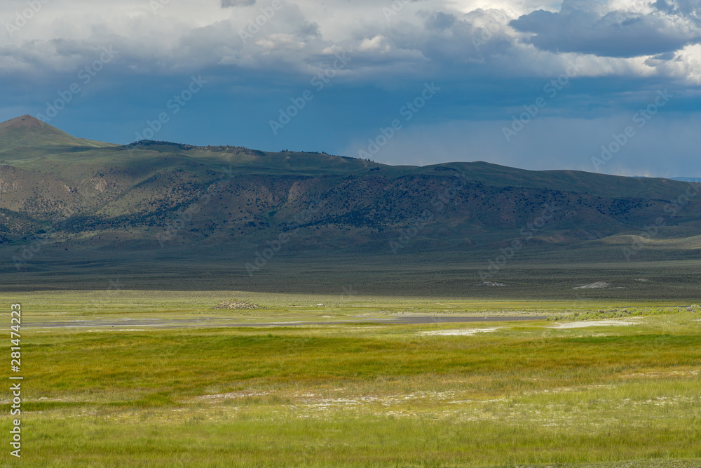 Fototapeta premium Long valley next to Lake Crowley, Mono County, California. USA. Green wetland with mountain on the background during clouded summer.