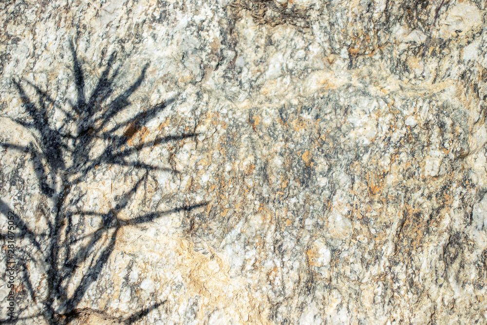bright stone shadow plant grass background pattern