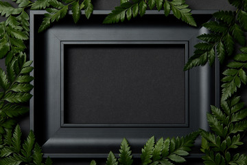 top view of empty black frame on black background with copy space and green fern leaves