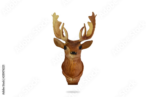 deer isolated on white background