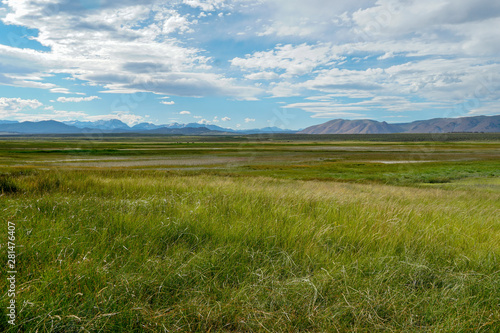 Long valley next to Lake Crowley  Mono County  California. USA. Green wetland with mountain on the background during clouded summer.