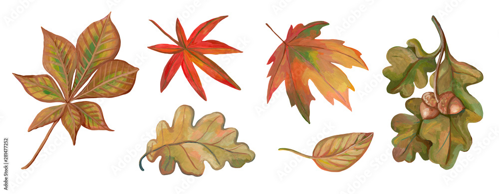 HOW TO DRAW AND SHADE A LEAF - Step By Step - YouTube