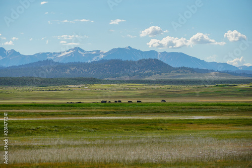 Long valley next to Lake Crowley, Mono County, California. USA. Green wetland with mountain on the background during clouded summer.