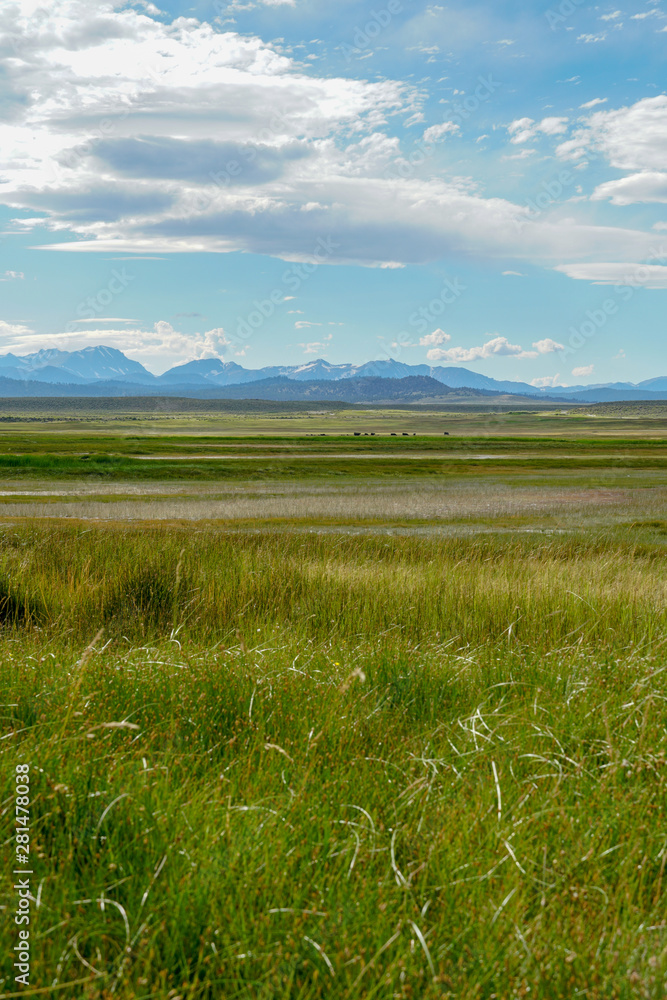 Obraz premium Long valley next to Lake Crowley, Mono County, California. USA. Green wetland with mountain on the background during clouded summer.
