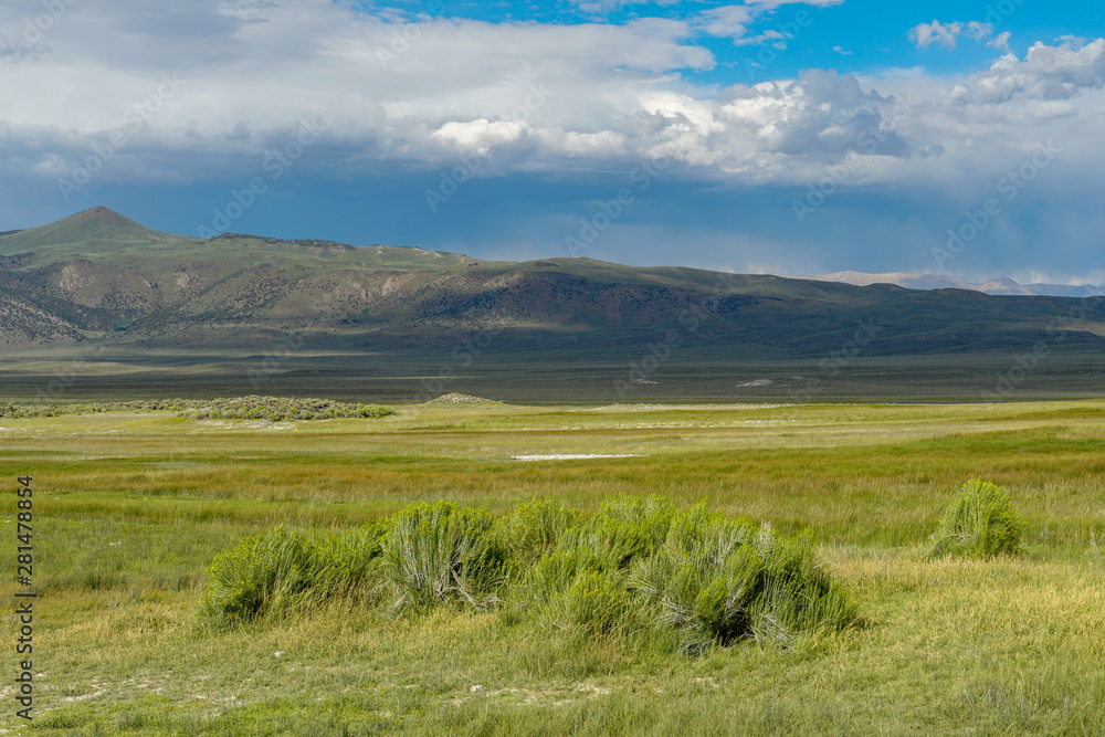 Long valley next to Lake Crowley, Mono County, California. USA. Green wetland with mountain on the background during clouded summer.