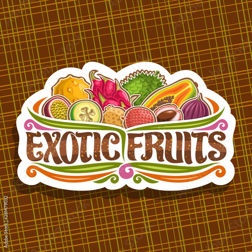 Vector logo for Exotic Fruits, decorative cut paper badge with illustration of group various colorful healthy fruits, sign board with original typeface for words exotic fruits on abstract background.