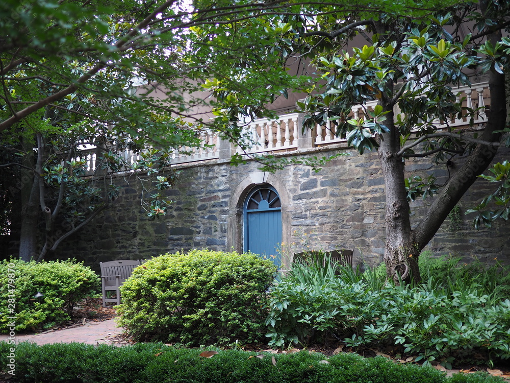 Obraz premium OLYMPUS DIGITAL CAMERA