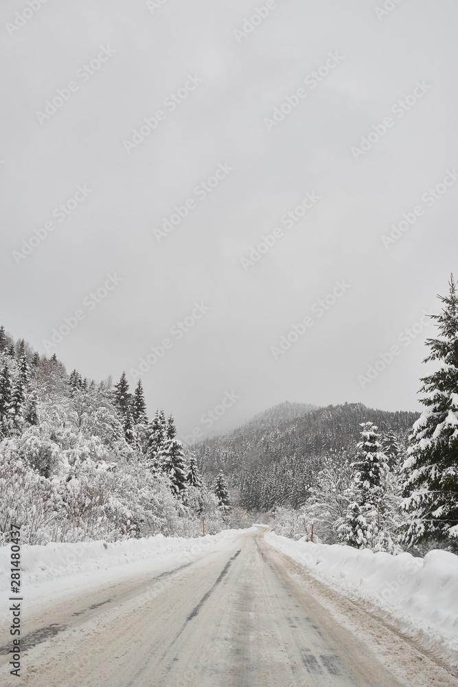 Obraz premium Winter vacation view of mountains and fir three forest. Snow road.