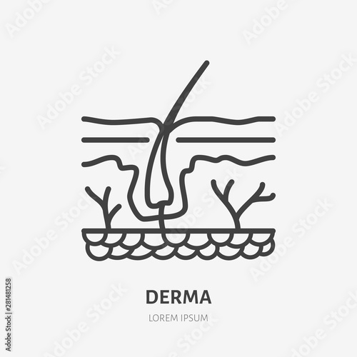 Skin layer flat line icon. Vector thin pictogram of human epidermis, outline illustration for dermatology clinic