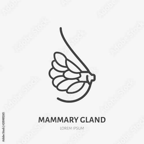 Mammary gland flat line icon. Vector thin pictogram of female breast anatomy, outline illustration for medical clinic