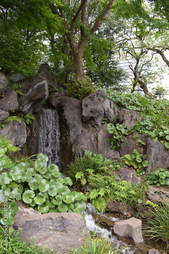 Waterfall in the Imperial Palace East Gardens, TOkyo, Japan