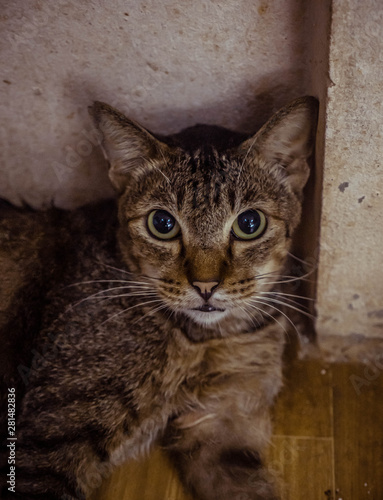 i am handicapped and so sick