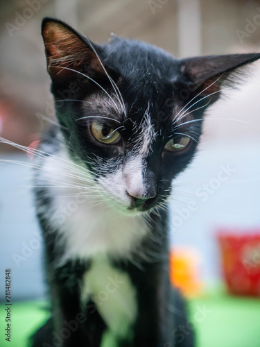 i am handicapped and so sick