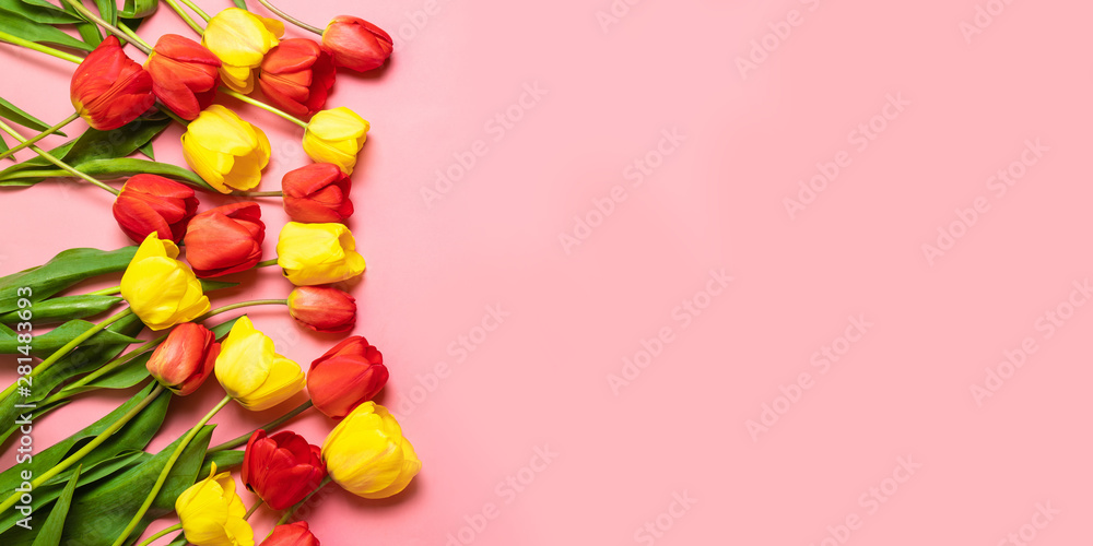 Mix of spring tulips flowers on pink background. Mix of spring tulips flowers on pink background.