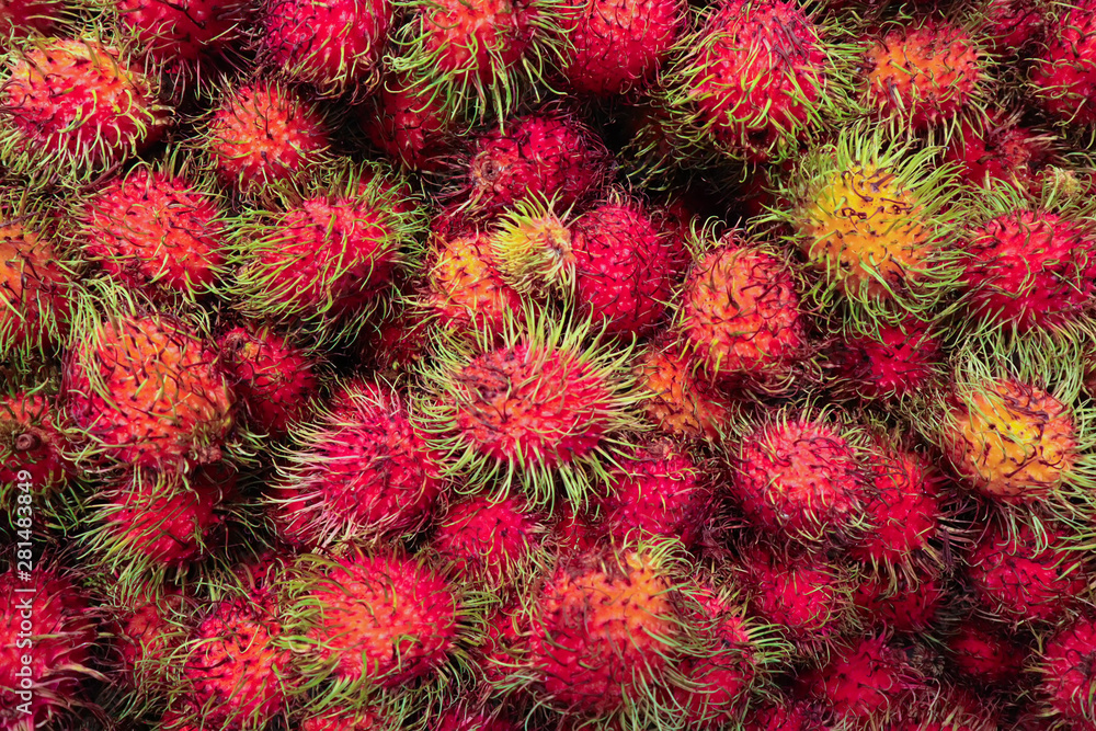 Soft focus of Rambutan red sweet and delicious fruit.The rambutan is native to the Indonesian region, and other regions of tropical Southeast Asia Soft focus of Rambutan red sweet and delicious fruit.The rambutan is native to the Indonesian region, and other regions of tropical Southeast Asia