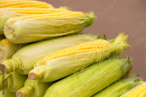 Fresh yellow corn. New crop at farmers market.