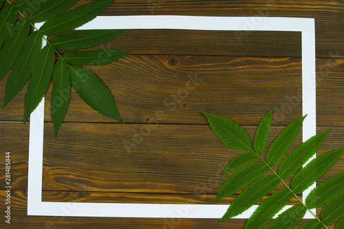 A few green branches of vinegar tree and white frame on a wooden boards background with space for text  top view  flat lay. Nature border concept.