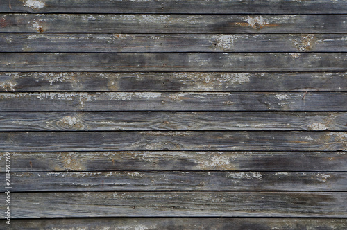 Full frame image of old painted wooden wall for texture or background. Horizontally arranged gray shabby wooden planks with remains of light color paint