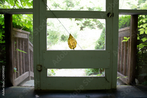 lef on screen door photo