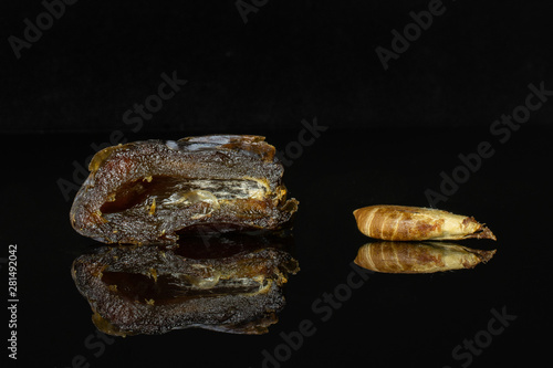 Group of one half one piece of dried brown date medjool isolated on black glass