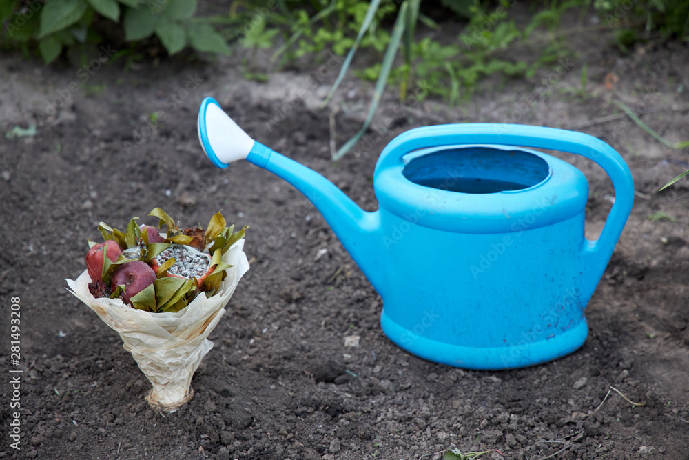 Bouquet of rotten fruits and wilted flowers planted in the ground as a symbol of an attempt to resume human relations Bouquet of rotten fruits and wilted flowers planted in the ground as a symbol of an attempt to resume human relations
