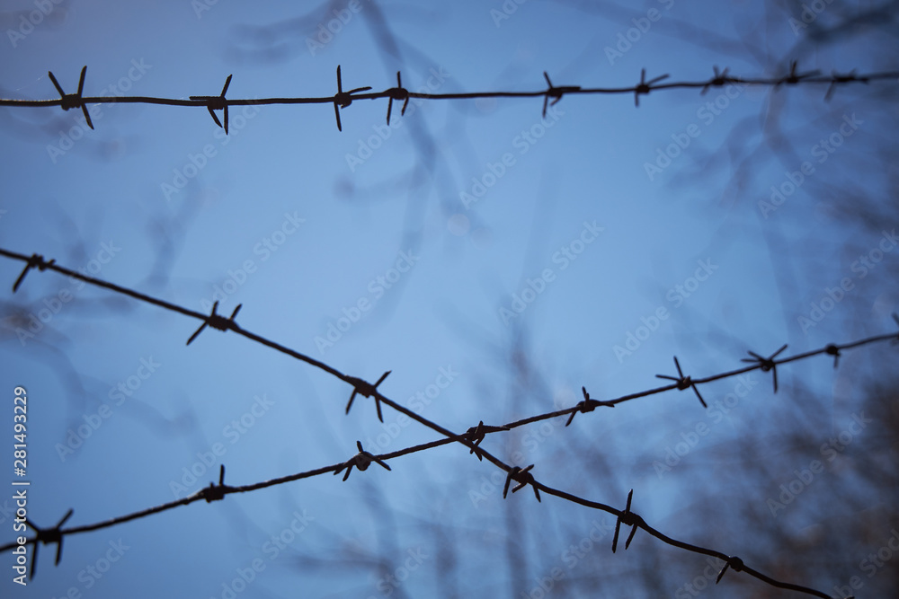 Rows of barbed wire against a dark blue sky, blurred image