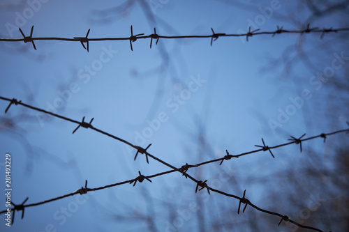 Rows of barbed wire against a dark blue sky  blurred image