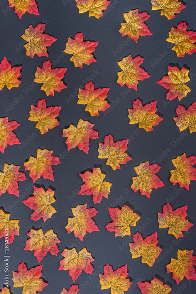 Autumn leaves on black background Autumn leaves on black background