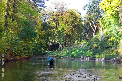 Pond with ducks in autumn park 