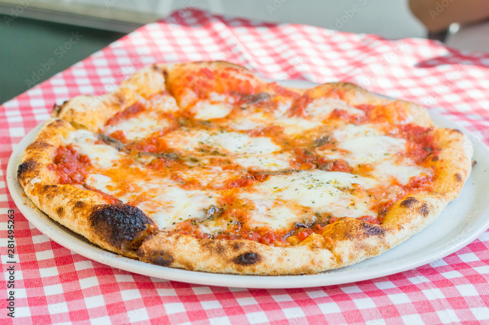 Pizza Margarita with mozzarella cheese. Pizza Margarita with mozzarella cheese.