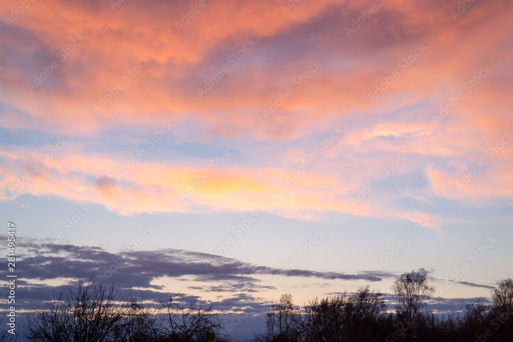 Orange - pink sunset clouds in the blue sky