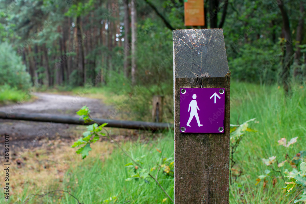 Forest walking paths network signpost in Kempen forest, brabant, Netherlands Forest walking paths network signpost in Kempen forest, brabant, Netherlands
