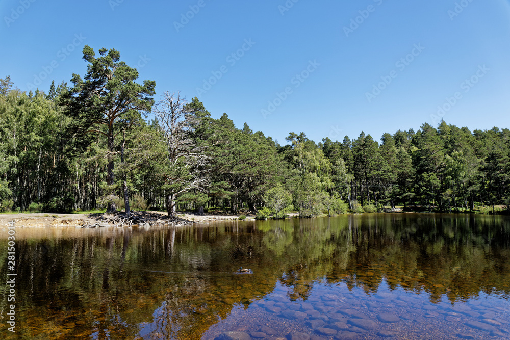 Loch an Eilein - Rothiemurchus, Cairngorms National Park - Scotland, UK Loch an Eilein - Rothiemurchus, Cairngorms National Park - Scotland, UK