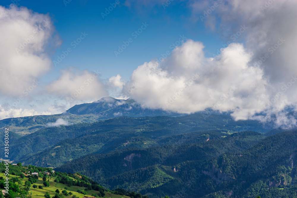 Black Sea turkey and green pine trees forest landscape with blue cloudy sky Black Sea turkey and green pine trees forest landscape with blue cloudy sky