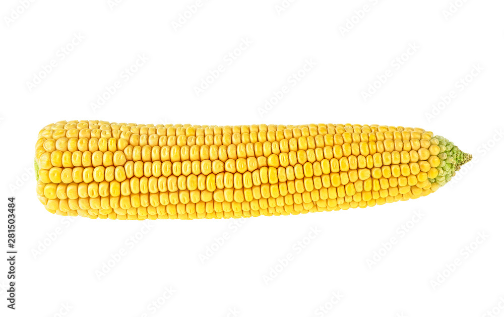 Corn isolated on a white background Corn isolated on a white background