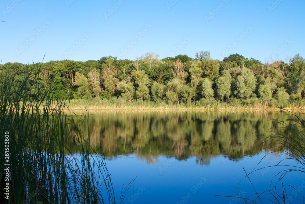 Summer landscape with a blue transparent lake and forest in the background, selective focus