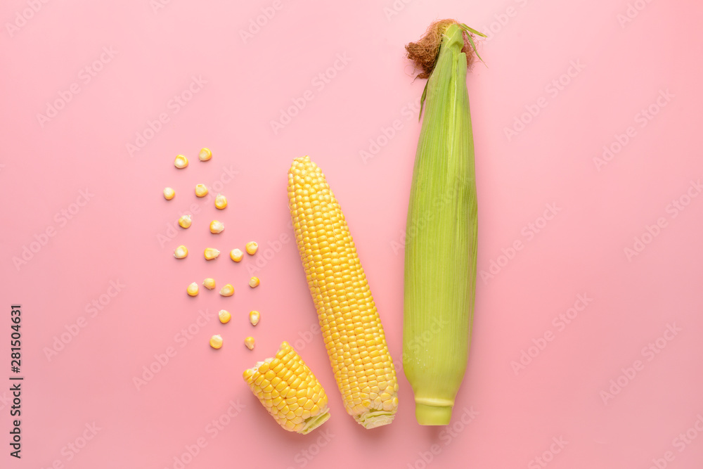 Fresh corn cobs on color background - obrazy, fototapety, plakaty 