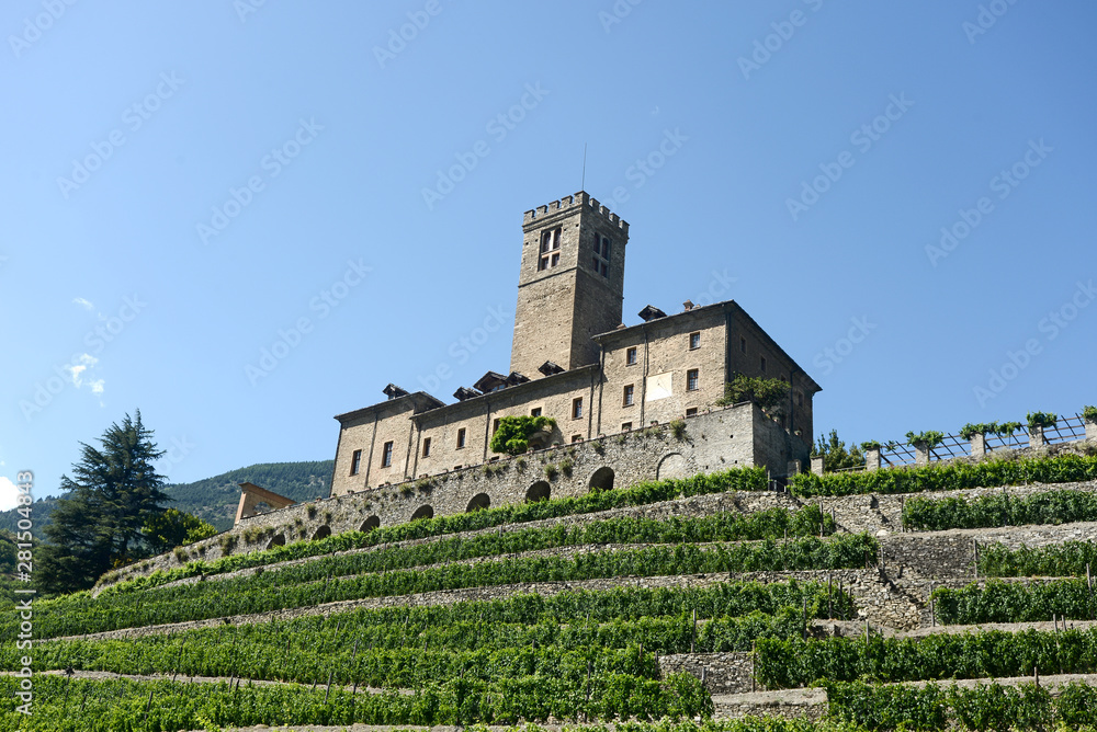 The estate of the castle of Sarre and its vineyard in Aosta Valley - Italy