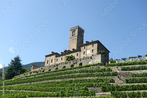 Obraz na płótnie The estate of the castle of Sarre and its vineyard in Aosta Valley - Italy w salonie